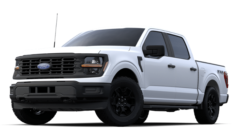 2024 Ford F-150 Vehicle Photo in Terrell, TX 75160